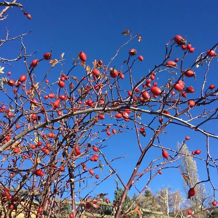 Lejlighed Rouge Sorbier *