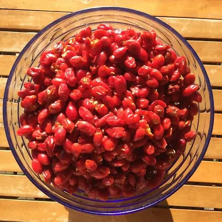 Lejlighed Rouge Sorbier Font-Romeu-Odeillo-Via