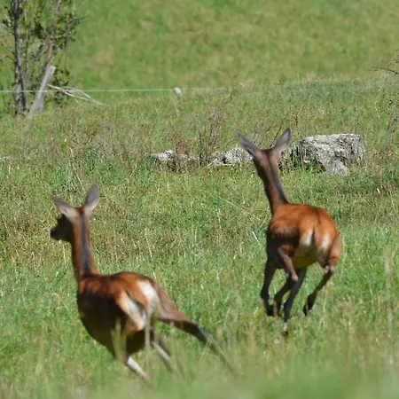 Lejlighed Rouge Sorbier