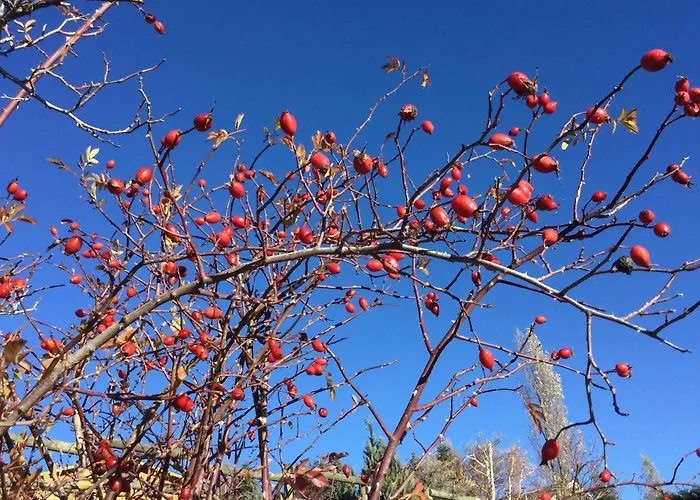 Apartamento Rouge Sorbier *