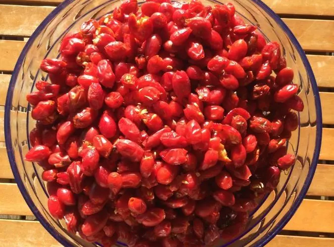 Apartamento Rouge Sorbier Font-Romeu-Odeillo-Via