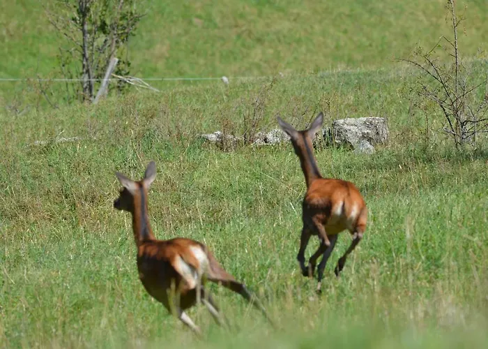 Apartamento Rouge Sorbier